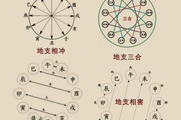紫微斗数地支三合局有什么用,地支三合局详解