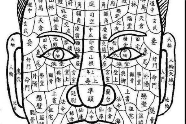 面相黑痣算命图解