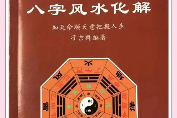 八字纯阳