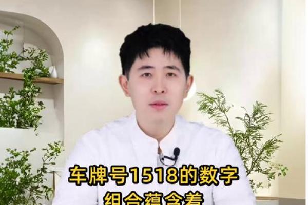 车牌号码吉凶测试免费测试 7113数字什么意思