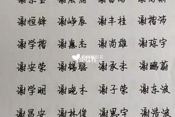 谢姓男孩名字大全-谢姓男孩起名字大全-谢姓名字大全姓名