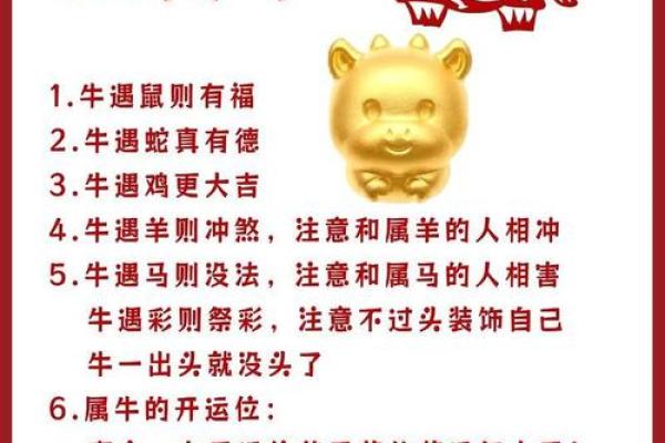 周易算命属牛虎