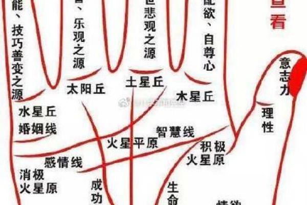 算命看手相算命图解 女性子女线