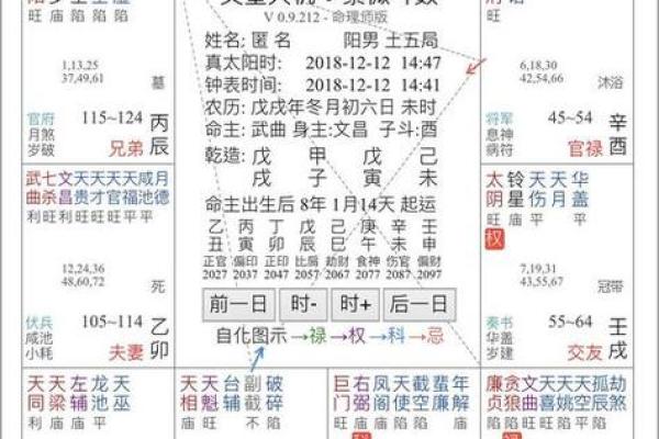 紫薇斗数命格下载