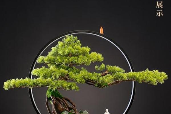 公司风水_办公室摆放迎客松盆景什么位置更佳