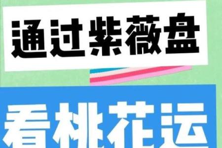 紫薇斗数女命如何看桃花运