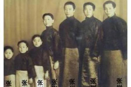 紫微斗数张学良 张学良星盘？