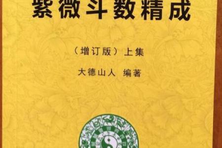 紫薇斗数开车撞人