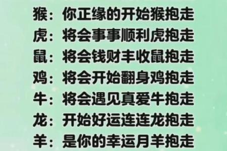 婚姻配对测试姓名 婚配测算姓名配对？