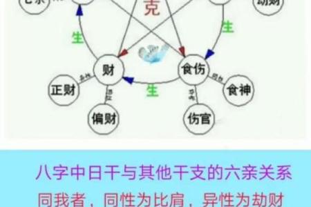 从算命的角度看命中注定#命运#跟我学易经