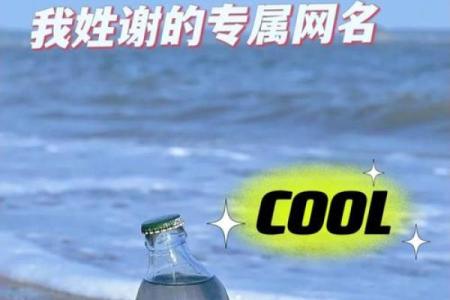 谢姓男孩名字大全-谢姓男孩起名字大全-谢姓名字大全姓名