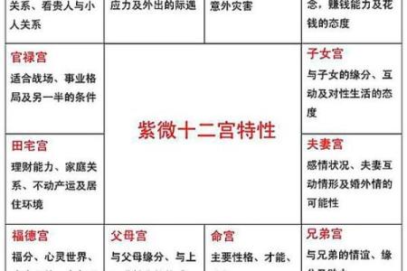 紫微斗数之主星喻人心性，事态强度次级表