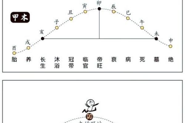 紫薇斗数十二长生