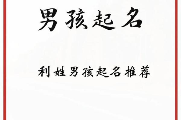 2019年3月25号酉时出生的男孩起名方法姓名