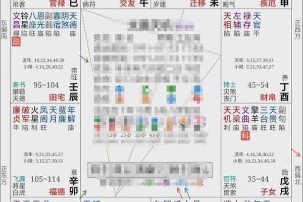 紫薇斗数养母养大