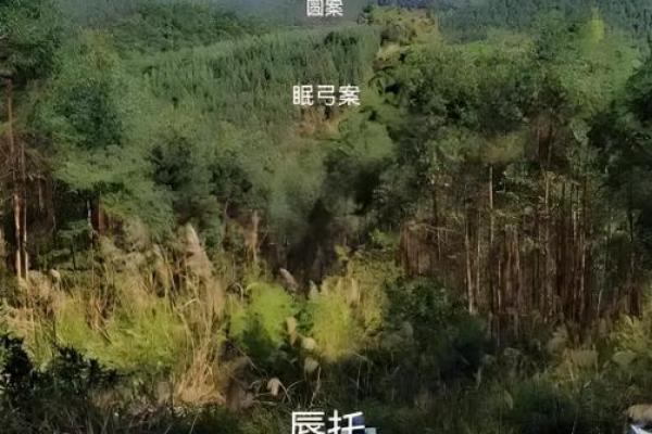 容易出贵人的坟墓风水特征