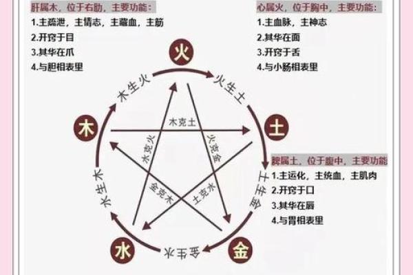 八字中的五行