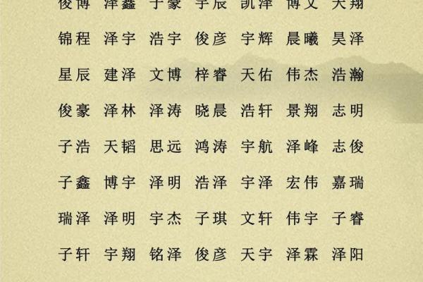 2019年5月9号寅时出生的男孩应该起什么样的名字姓名