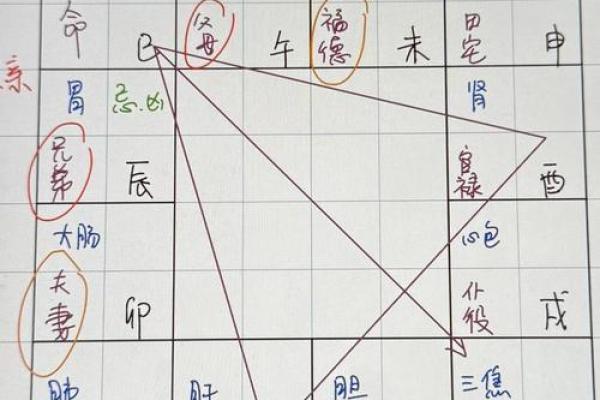 戊戌年在紫薇斗数的什么宫