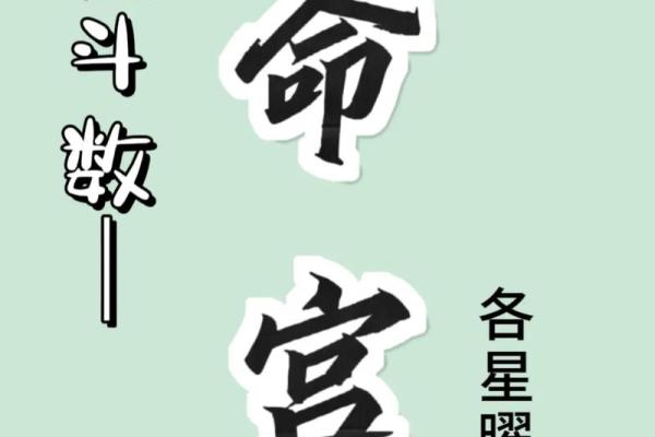 360紫薇斗数事业