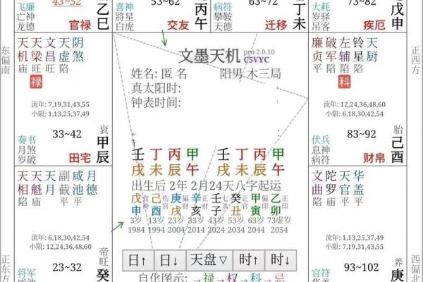 紫微斗数实战 紫微斗数实战案例？
