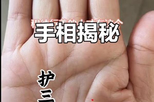 【手型算命】最基本的手型之哲学手