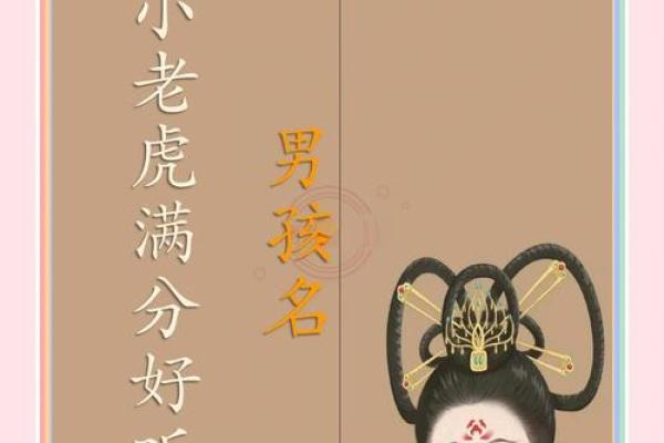 下午2点出生的属虎男孩起什么名，宜用什么字姓名