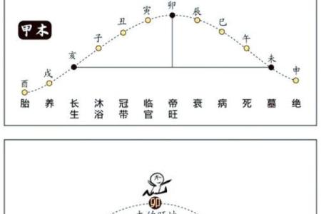 紫薇斗数十二长生