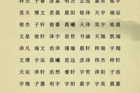 靳姓男孩名字大全-靳姓男孩起名字大全-靳姓名字大全姓名