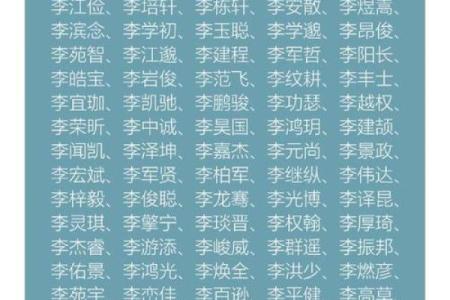 2019年3月25号酉时出生的男孩起名方法姓名