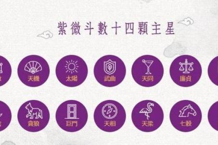 紫薇斗数各星