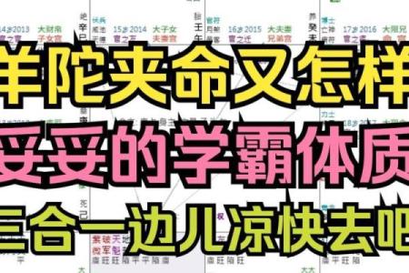 紫薇斗数河洛派