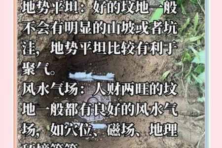 新坟地怎么看出好风水