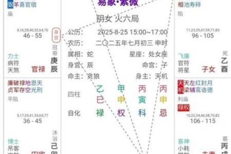 紫薇斗数马落空亡格