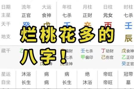 女命八字带桃花代表着什么呢