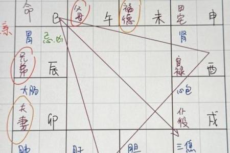 戊戌年在紫薇斗数的什么宫