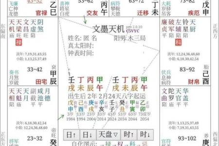紫微斗数实战 紫微斗数实战案例？