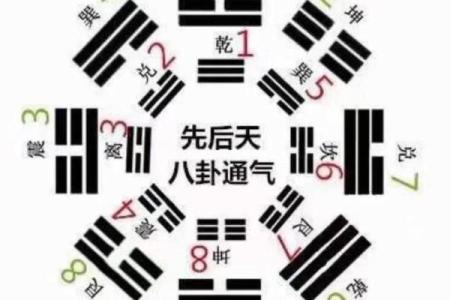六爻数字算命准吗