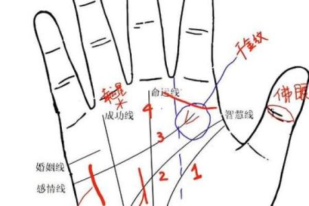 【手型算命】最基本的手型之哲学手