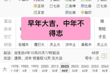男命八字不利婚姻什么意思 丙午丁巳壬子