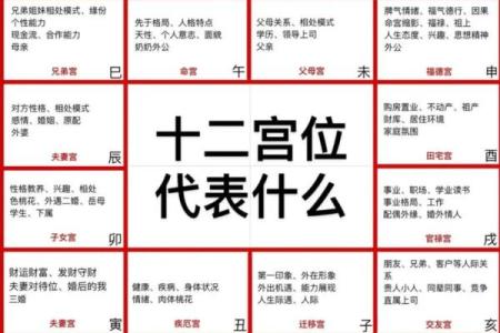 紫薇斗数夫妻宫长生