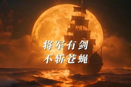 算命说命里有将军剑