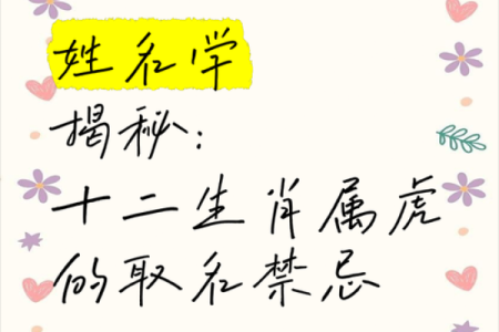 下午2点出生的属虎男孩起什么名，宜用什么字姓名