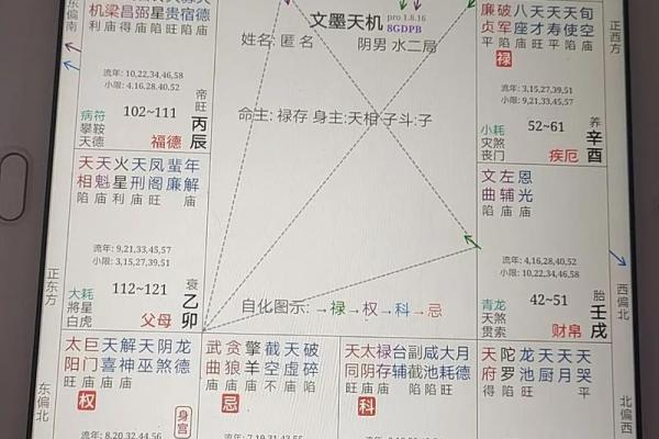 巨门紫薇斗数