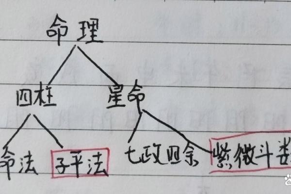 八字八专