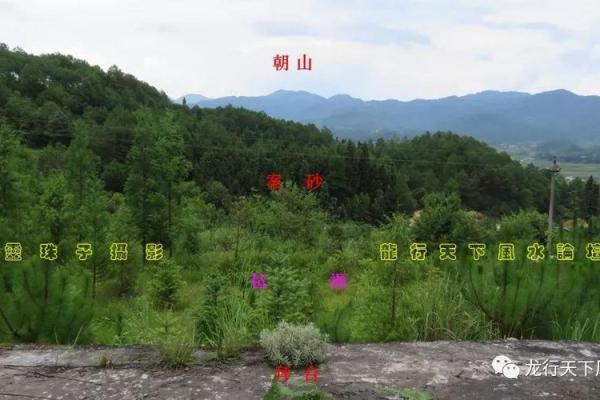 澳门赌王豪宅内部富而仁的风水