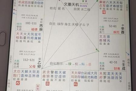 巨门紫薇斗数